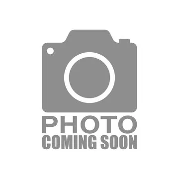 Photo Coming Soon Photo coming soon placeholder graphic.